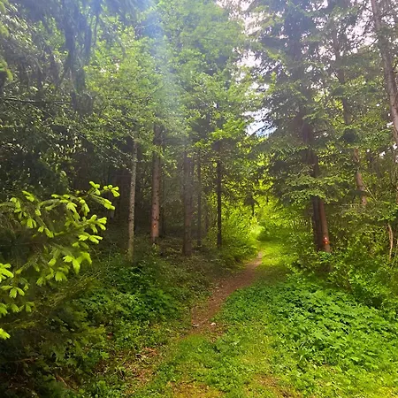 Appartamento Kuca Odmora Carolija *