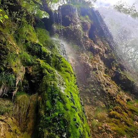 Kuca Odmora Carolija * Gostilje