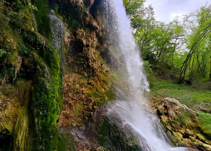 Kuca Odmora Carolija Apartment