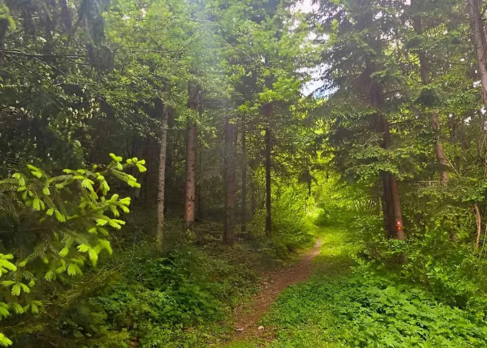 Apartment Kuca Odmora Carolija *