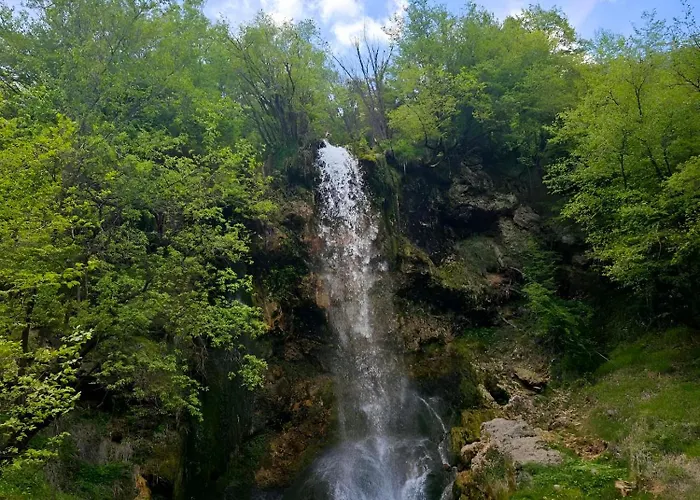 Kuca Odmora Carolija