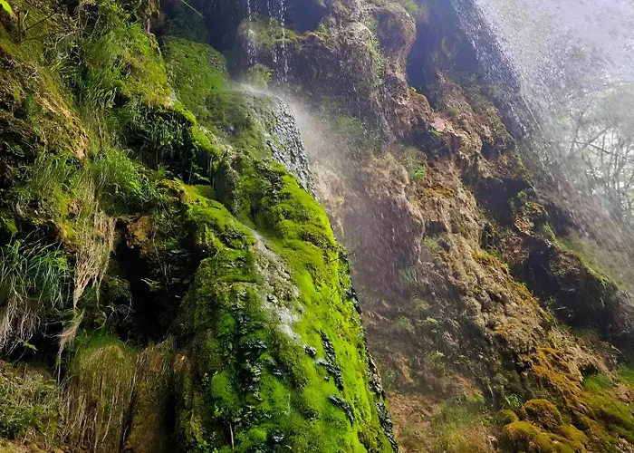 Kuca Odmora Carolija * Gostilje