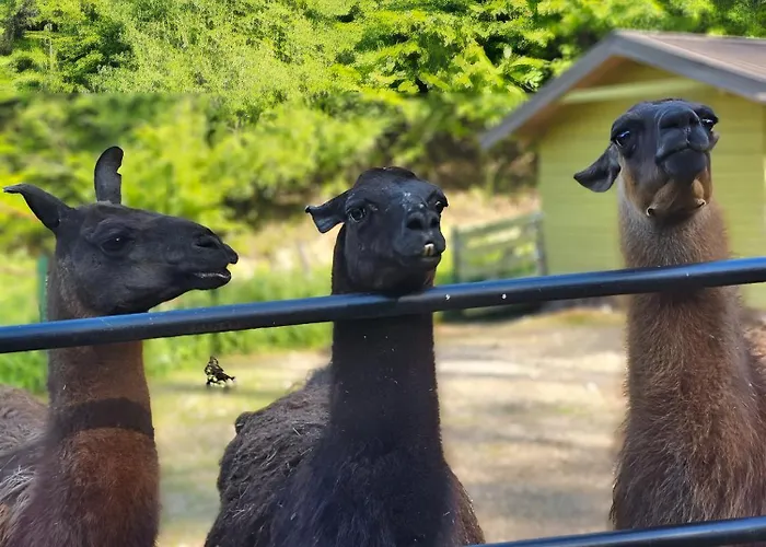 Apartment Kuca Odmora Carolija Gostilje